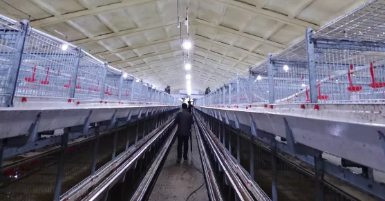 養(yǎng)鴨場老板：熱泵供暖溫度高，費(fèi)用比燒煤還省！